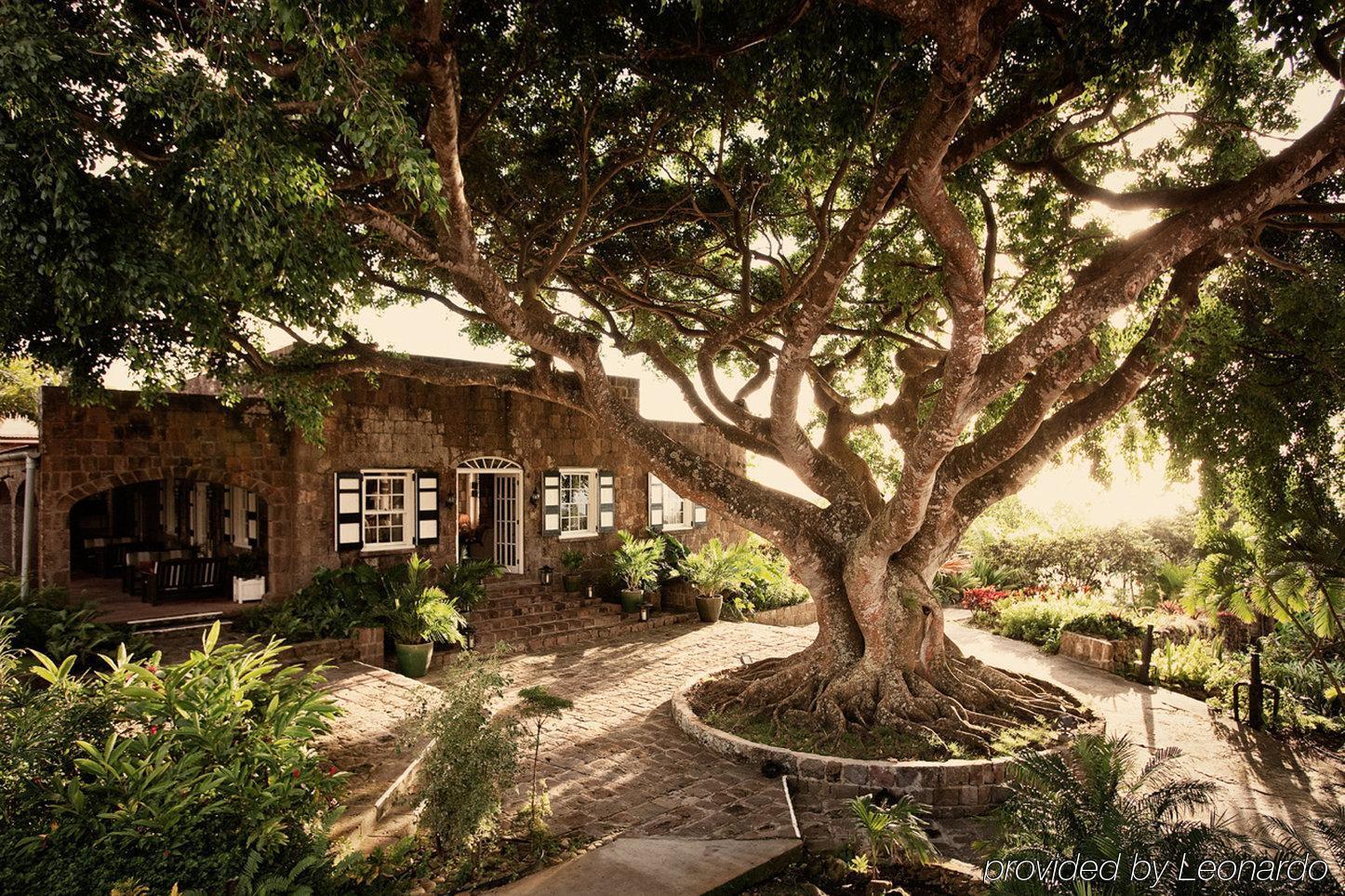 Montpelier Plantation & Beach Charlestown Buitenkant foto